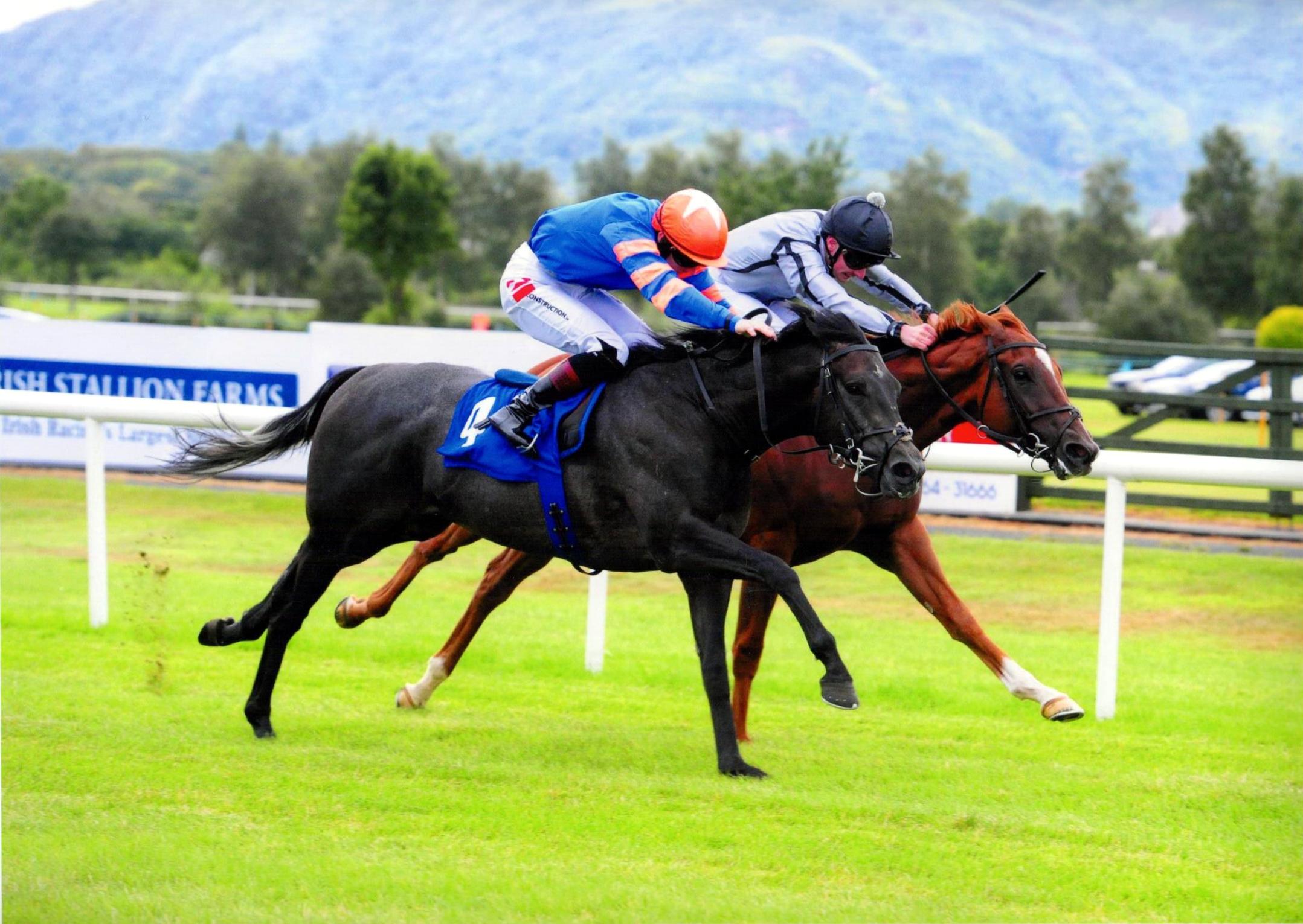 PERCY battles hard to shed his maiden tag under Colin Keane at Killarney 17th August 2016
